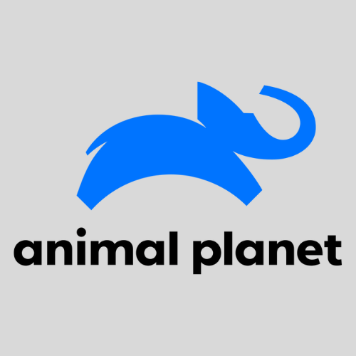 Animal Planet